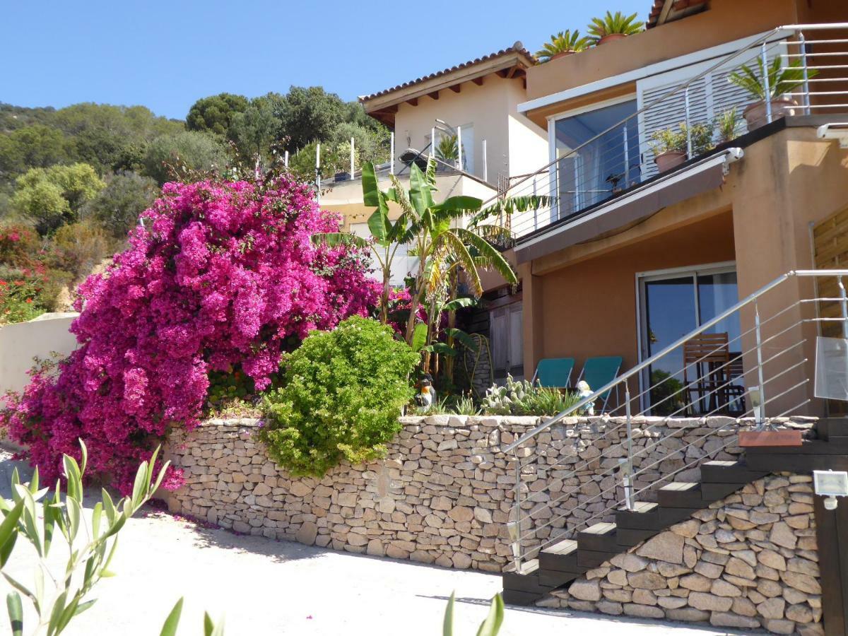 Barbicaj'Alta Bed & Breakfast Ajaccio  Luaran gambar